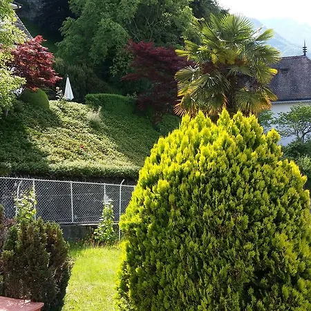 Belalp Bed and breakfast 4*