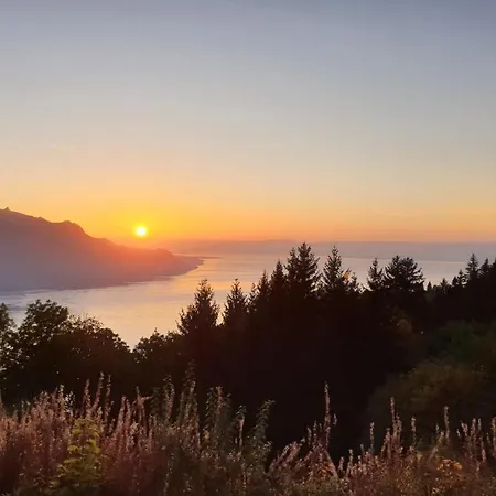 Frühstückspension Belalp Montreux