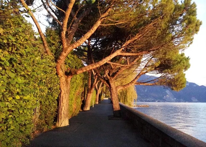 Belalp 4* مونترو