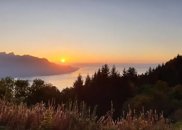 فندق مبيت وإفطار Belalp مونترو